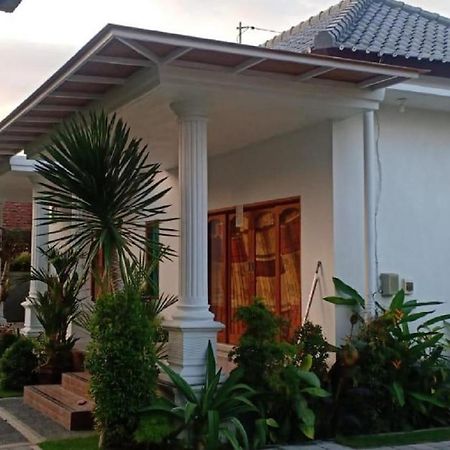 Srinadi Guest House Lovina Exterior foto